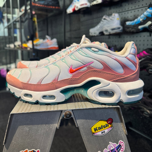 Nike Air Max Plus 'TN' Stardust (GS) (Second hand)