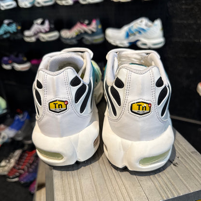 Nike Air Max Plus TN 'Dusty Cactus Barley Volt' (Second hand)