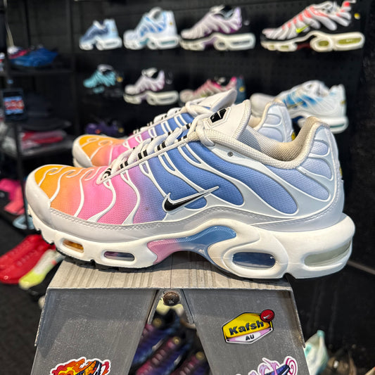 Nike Air Max Plus TN 'Rainbow Summer Gradient' (Second hand)