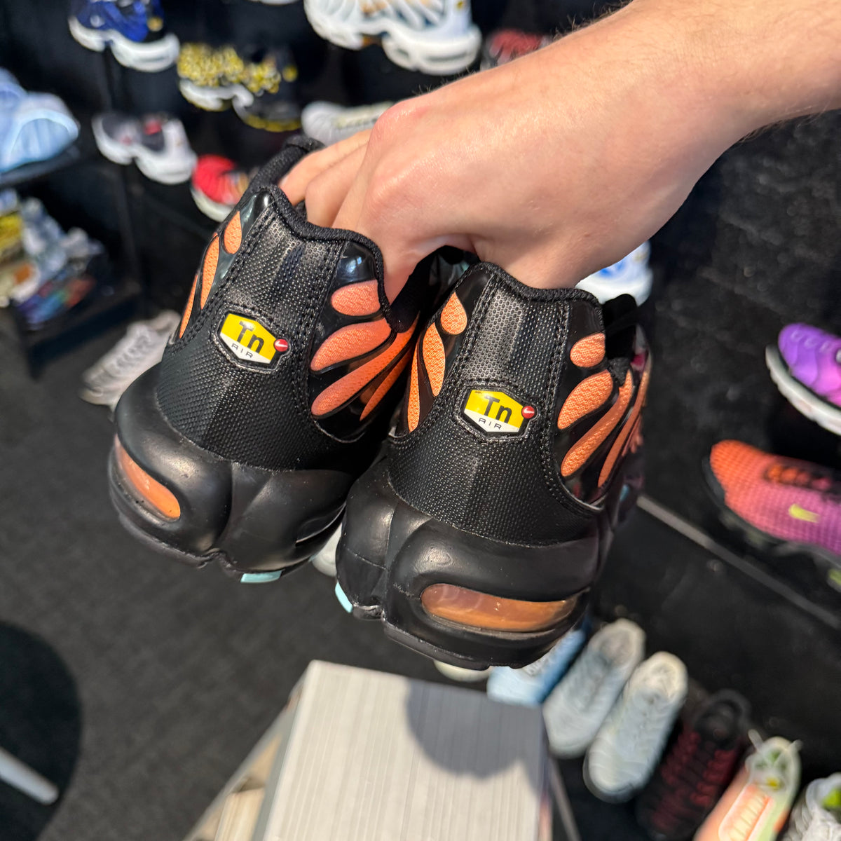 Nike Air Max Plus TN 'South Beach' (Brand New)