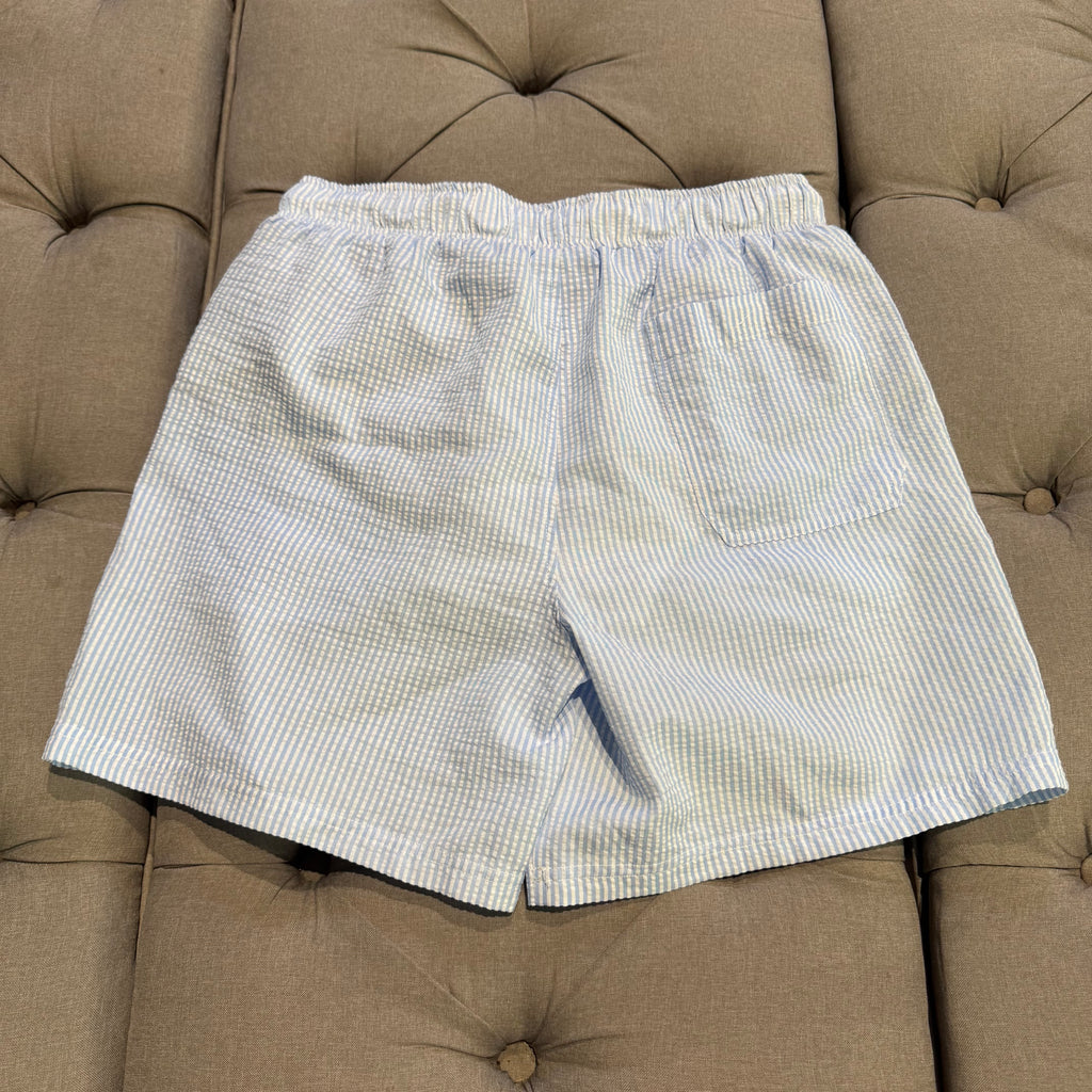 Nautica Seersucker Stripe Swim Shorts 'Blue White' (Second hand)
