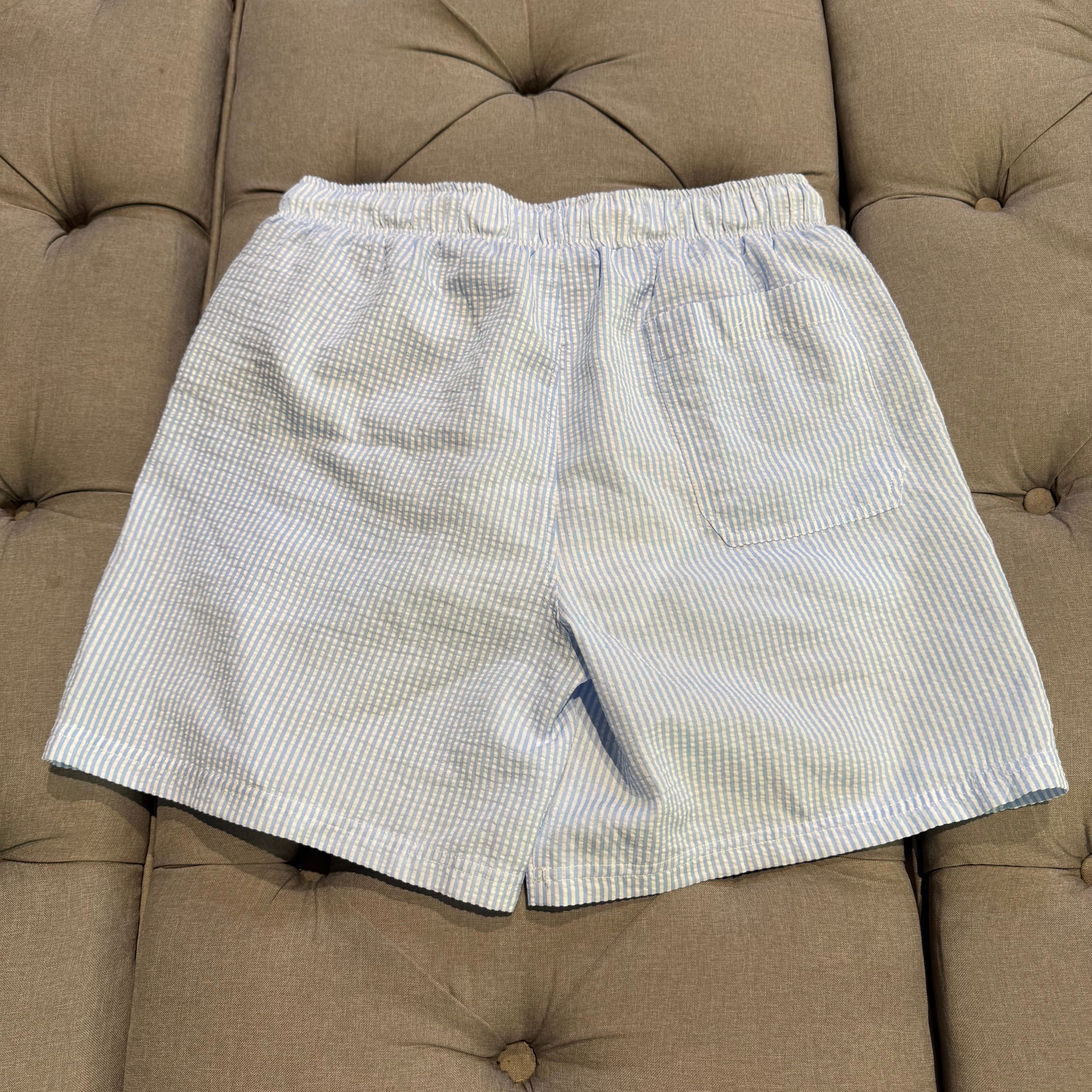 Nautica Seersucker Stripe Swim Shorts 'Blue White' (Second hand)