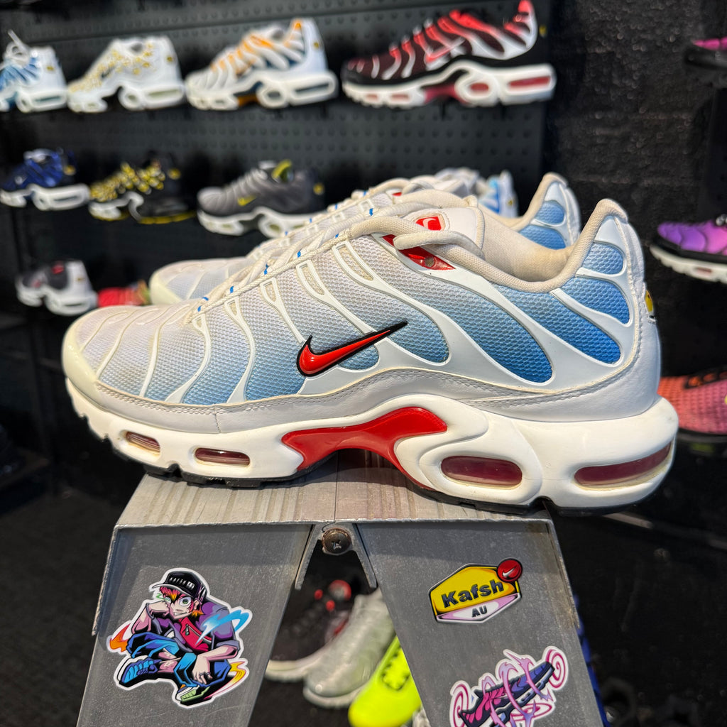 Nike Air Max Plus TN 'Tide' (Second hand)