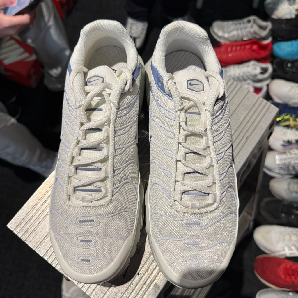 Nike Air Max Plus TN 'Ashen Slate' (Brand New)