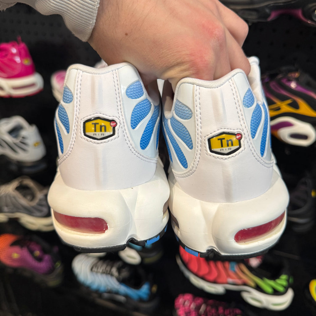 Nike Air Max Plus TN 'Tide' (Brand New)