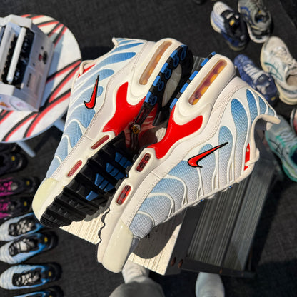 Nike Air Max Plus 'TN' Tide (Second hand)