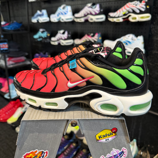 Nike Air Max Plus TN 'Dark World Wide' (Second hand)