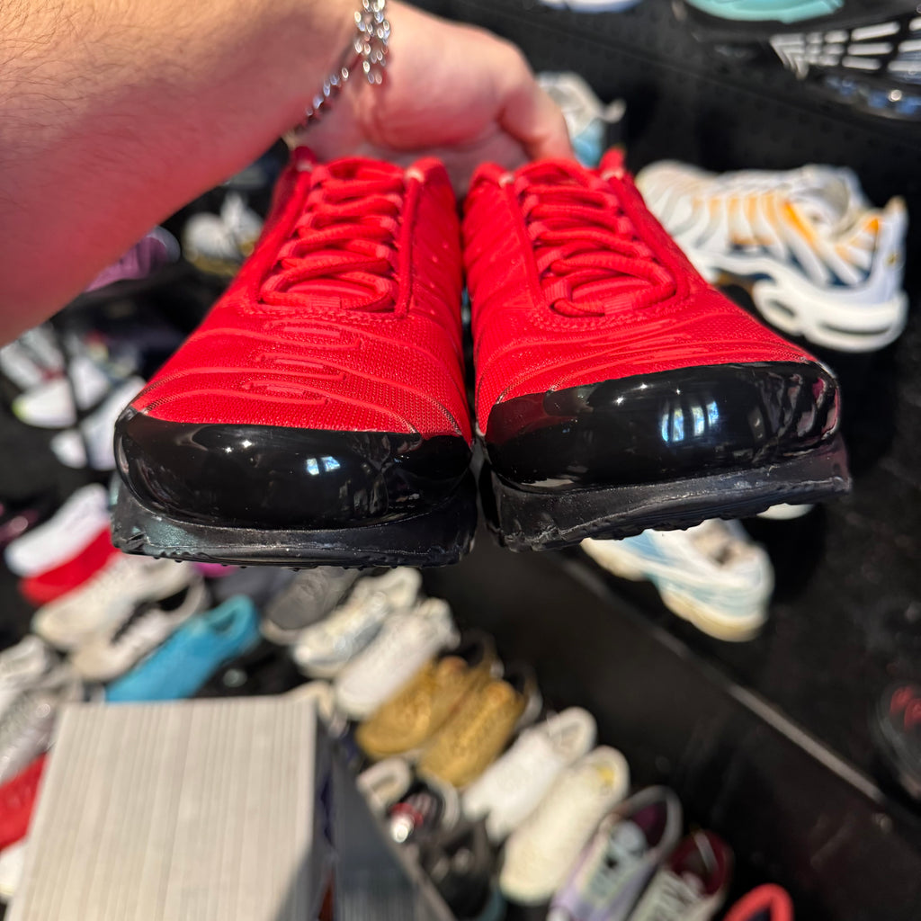 Nike Air Max Plus TN 'Diabolo' (Brand New)