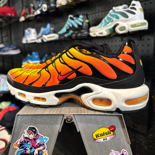 Nike Air Max Plus TN 'Tiger' (Second hand)
