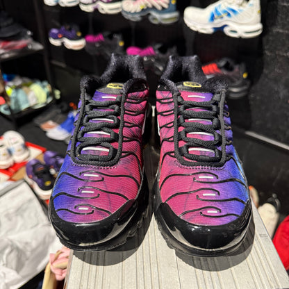 Nike Air Max Plus 'TN' 25th Anniversary (Brand New)