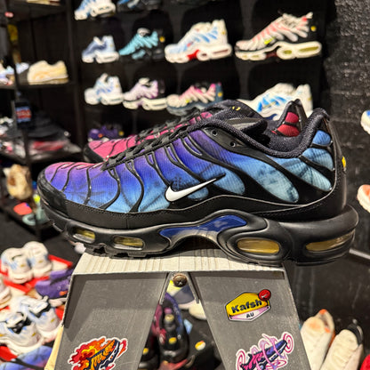 Nike Air Max Plus 'TN' 25th Anniversary (Brand New)