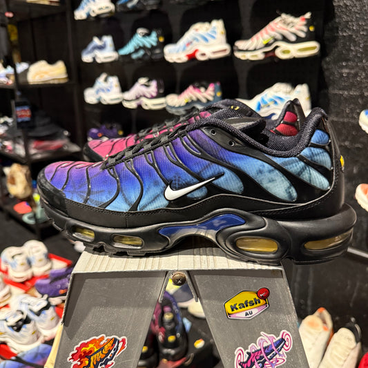 Nike Air Max Plus 'TN' 25th Anniversary (Brand New)