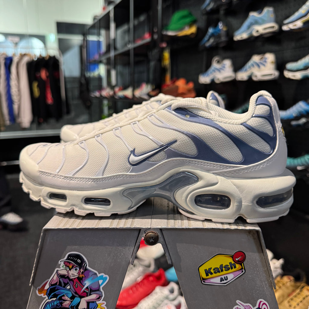 Nike Air Max Plus TN 'Ashen Slate' (Brand New)