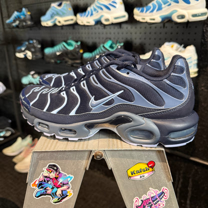 Nike Air Max Plus TN 'Obsidian Aluminium' (Second hand)