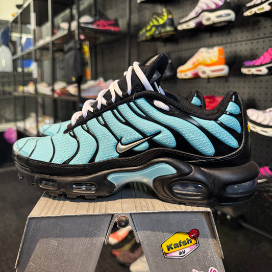 Nike Air Max Plus 'TN' Dark Tiffany (Second hand)