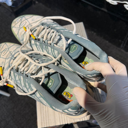 Nike Air Max Plus 'TN' Palm Pack Green '2013' (Second hand)