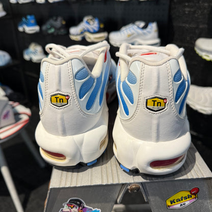 Nike Air Max Plus TN 'Tide' (Second hand)