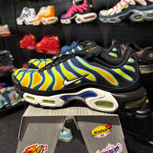 Nike Air Max Plus 'TN' Heat Map (Second hand)