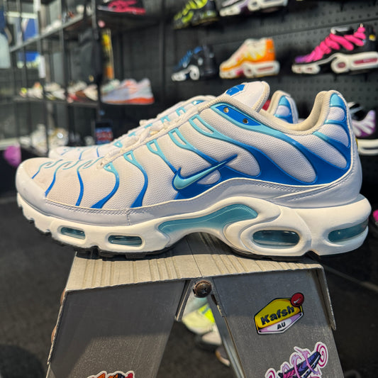 Nike Air Max Plus 'TN' Dream (Second hand)