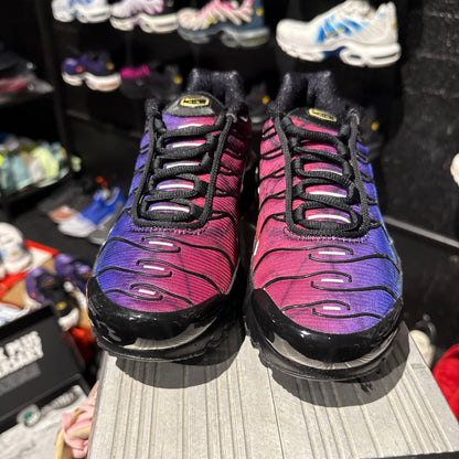 Nike Air Max Plus 'TN' 25th Anniversary (Brand New)