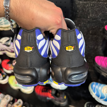 Nike Air Max Plus TN 'Persian Violet' (Brand New)