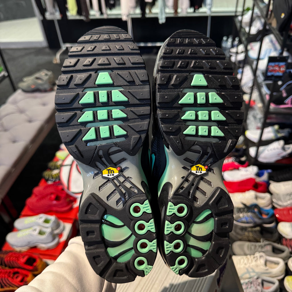 Nike Air Max Plus TN 'Teal Spirograph' (Brand New)