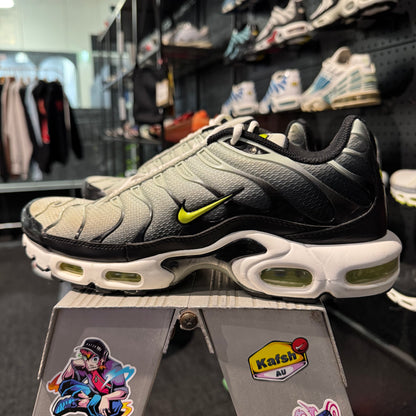 Nike Air Max Plus TN 'Bright Catus' (Second hand)