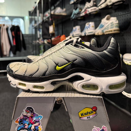 Nike Air Max Plus TN 'Bright Catus' (Second hand)