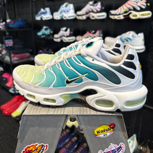 Nike Air Max Plus TN 'Dusty Cactus Barley Volt' (Second hand)