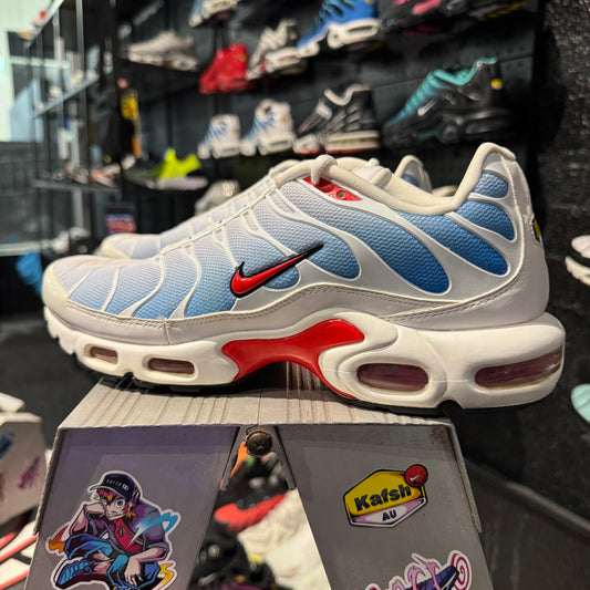 Nike Air Max Plus TN 'Tide' (Second hand)