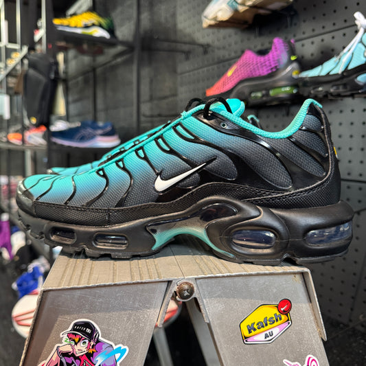 Nike Air Max Plus TN 'Aqua Fade' (Second hand)