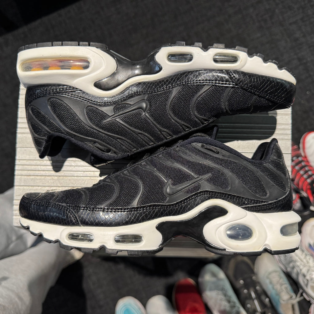 Nike Air Max Plus TN SE 'Black' (Brand New)