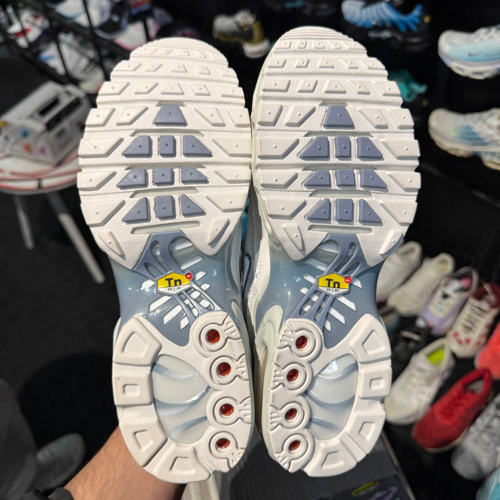 Nike Air Max Plus TN 'Ashen Slate' (Brand New)