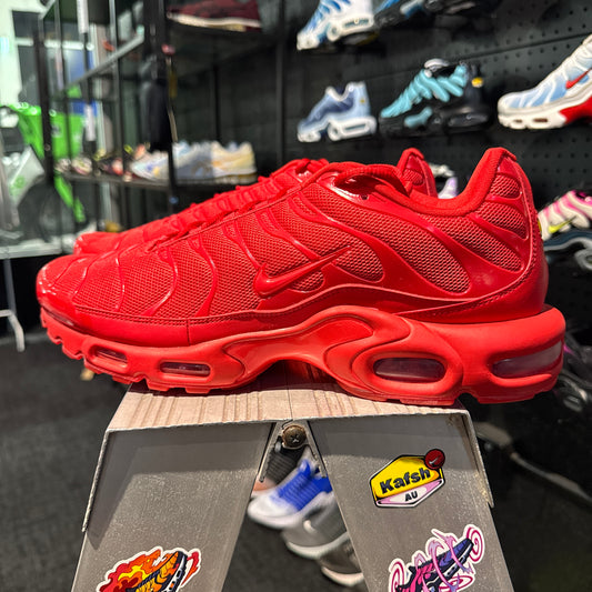 Nike Air Max Plus 'TN' Lava (Brand New)