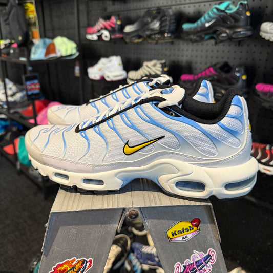 Nike Air Max Plus 'TN' Posideion (Second hand)