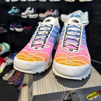 Nike Air Max Plus TN 'Rainbow Summer Gradient' (Second hand)