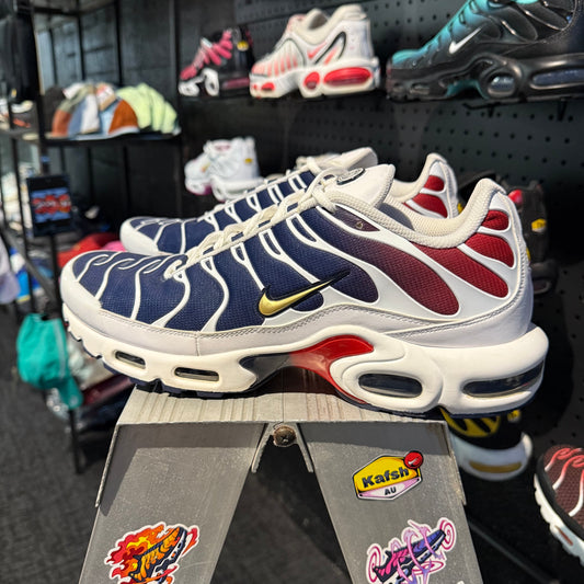 Nike Air Max Plus 'TN' PSG (Second hand)