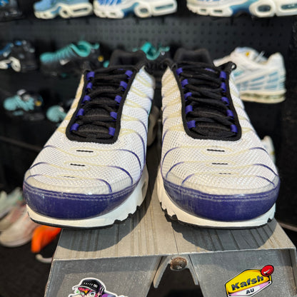 Nike Air Max Plus TN 'Grape Ice' (Second hand)