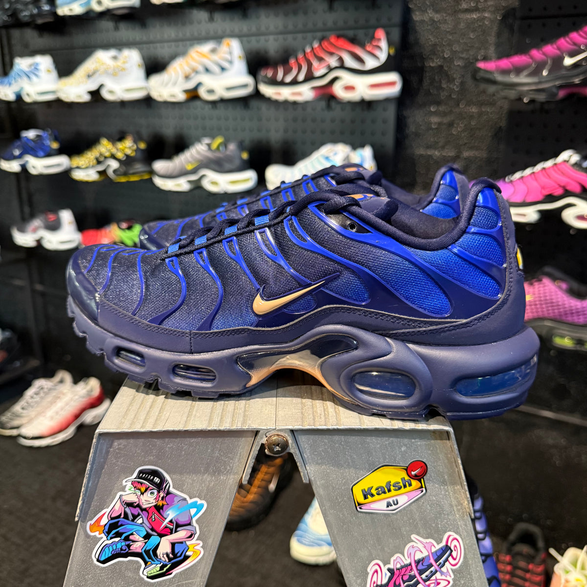 Nike Air Max Plus TN 'French Football Federation' (Brand New)