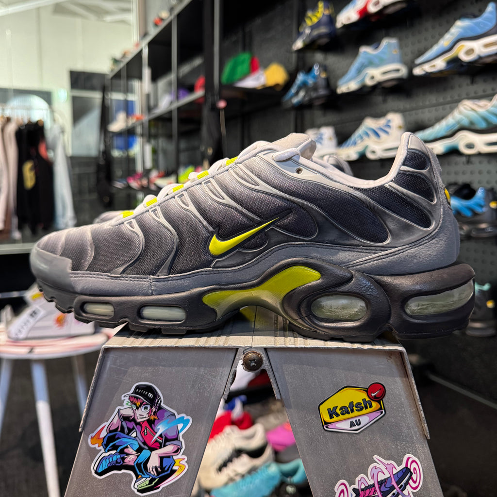 Nike Air Max Plus TN (2007) 'Dusty Cactus' (Brand New)