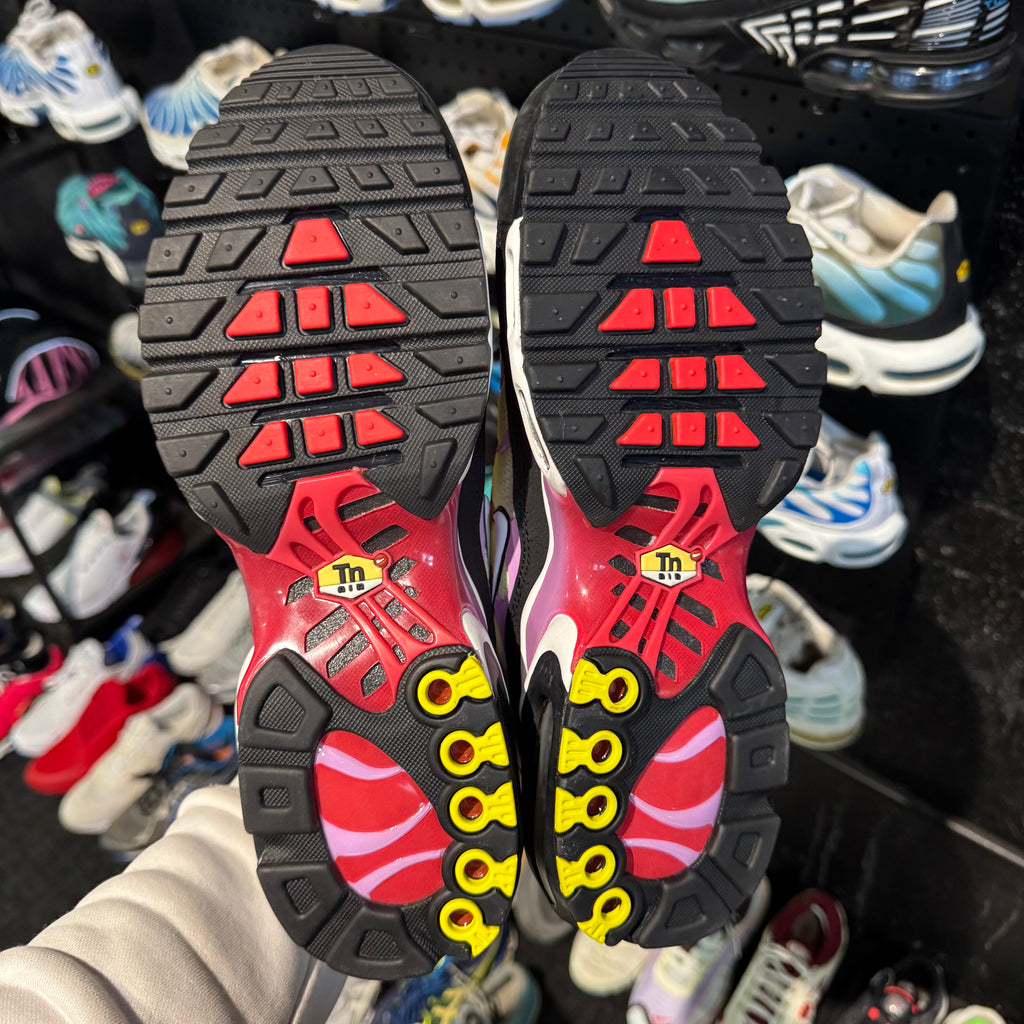 Nike Air Max Plus TN 'Sherbert / Tigerberry' (Brand New)