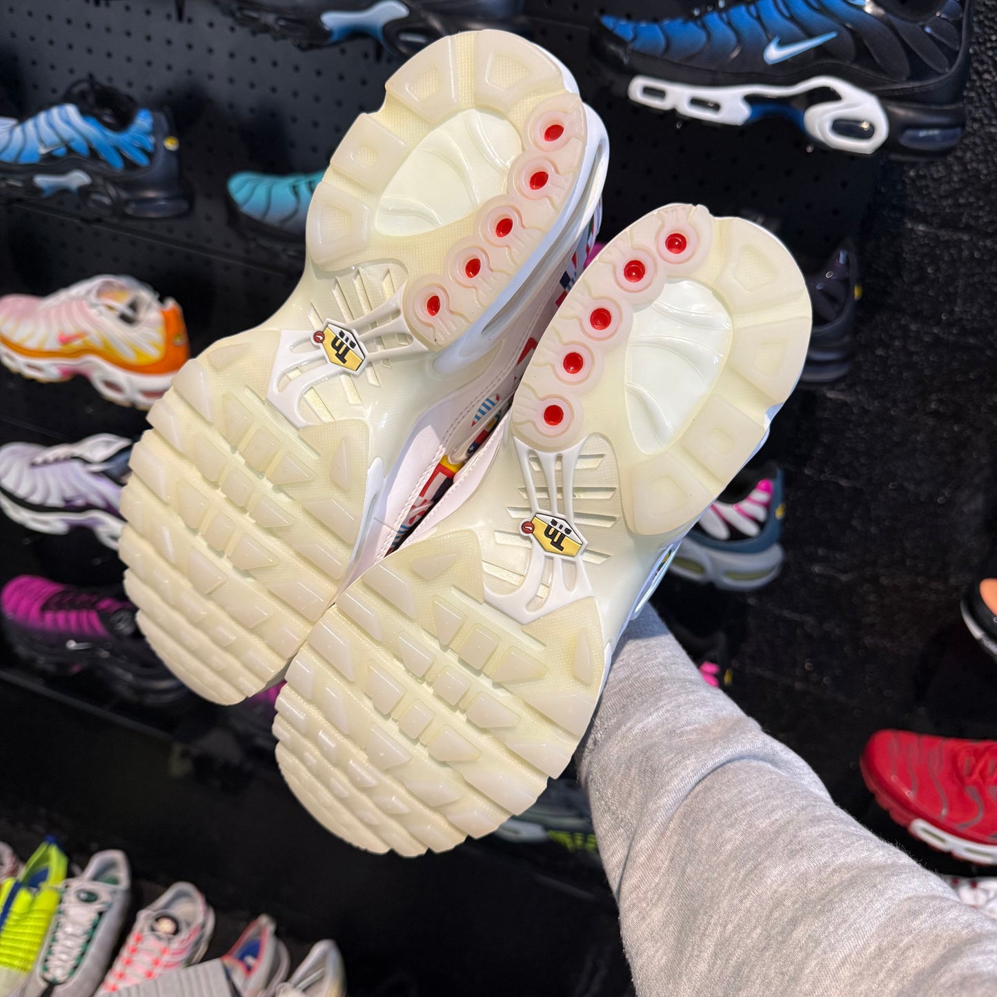 Nike Air Max Plus 'TN' International Flags (Brand New)