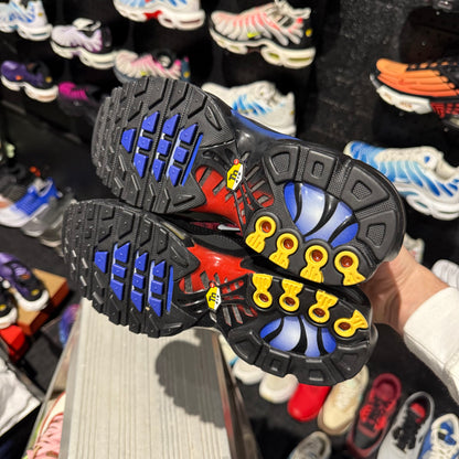 Nike Air Max Plus 'TN' 25th Anniversary (Brand New)