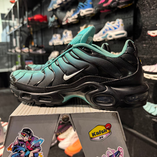 Nike Air Max Plus TN 'Aqua Fade' (Second hand)