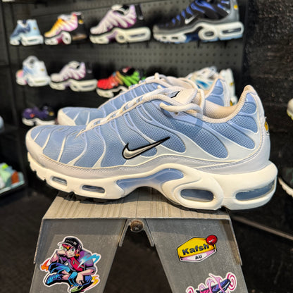 Nike Air Max Plus TN 'Aluminium' (Second hand)