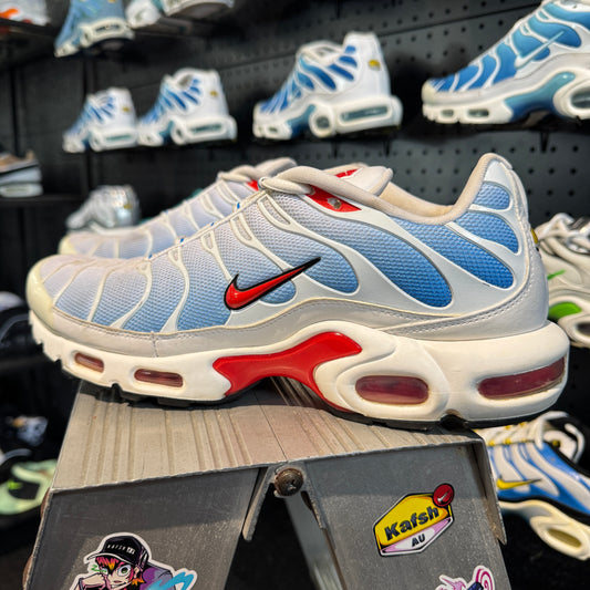 Nike Air Max Plus TN 'Tide' (Second hand)