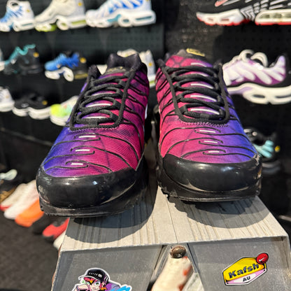 Nike Air Max Plus TN '25th Anniversary' (Brand New)