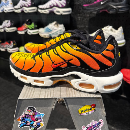 Nike Air Max Plus TN 'Tiger' (Second hand)