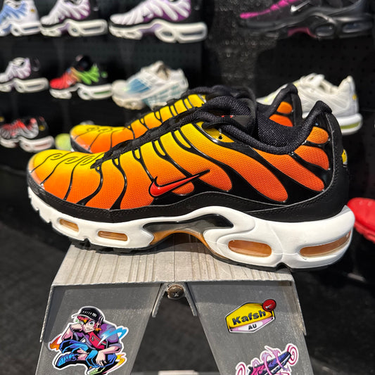 Nike Air Max Plus TN 'Tiger' (Second hand)
