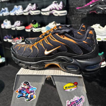 Nike Air Max Plus TN 'Dark Obsidian Monarch' (Second hand)